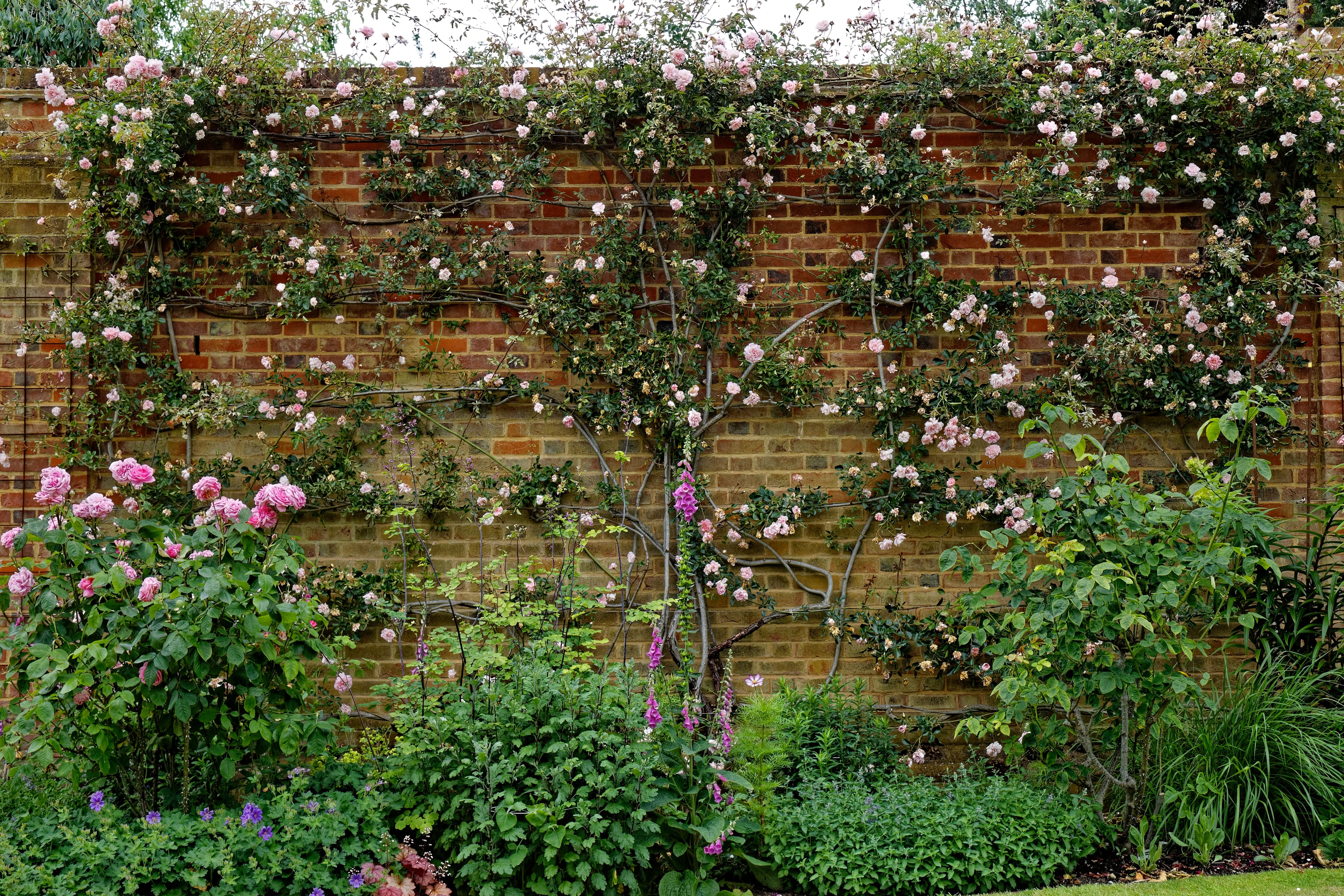 Boreham
