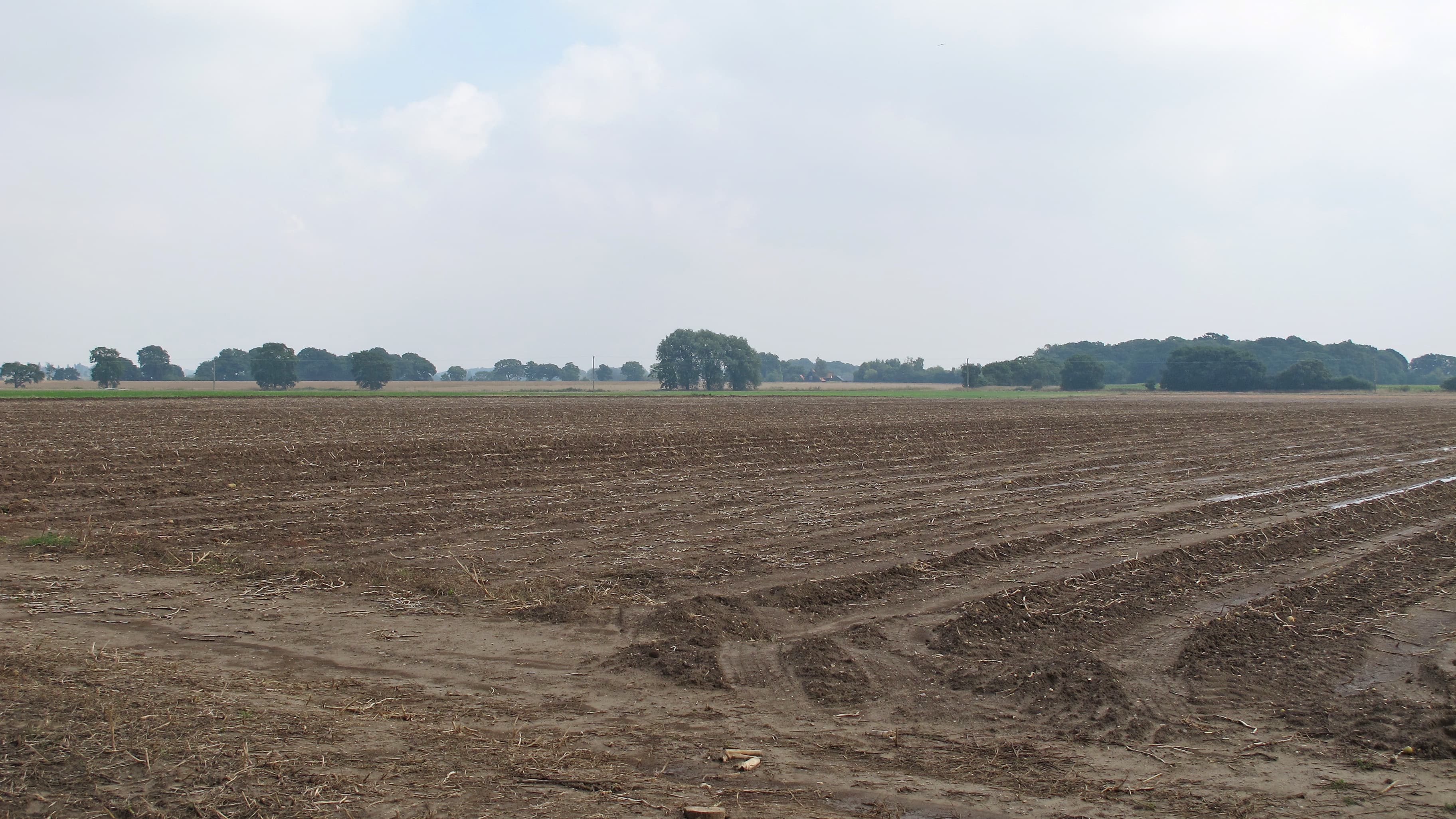 Aingers Green