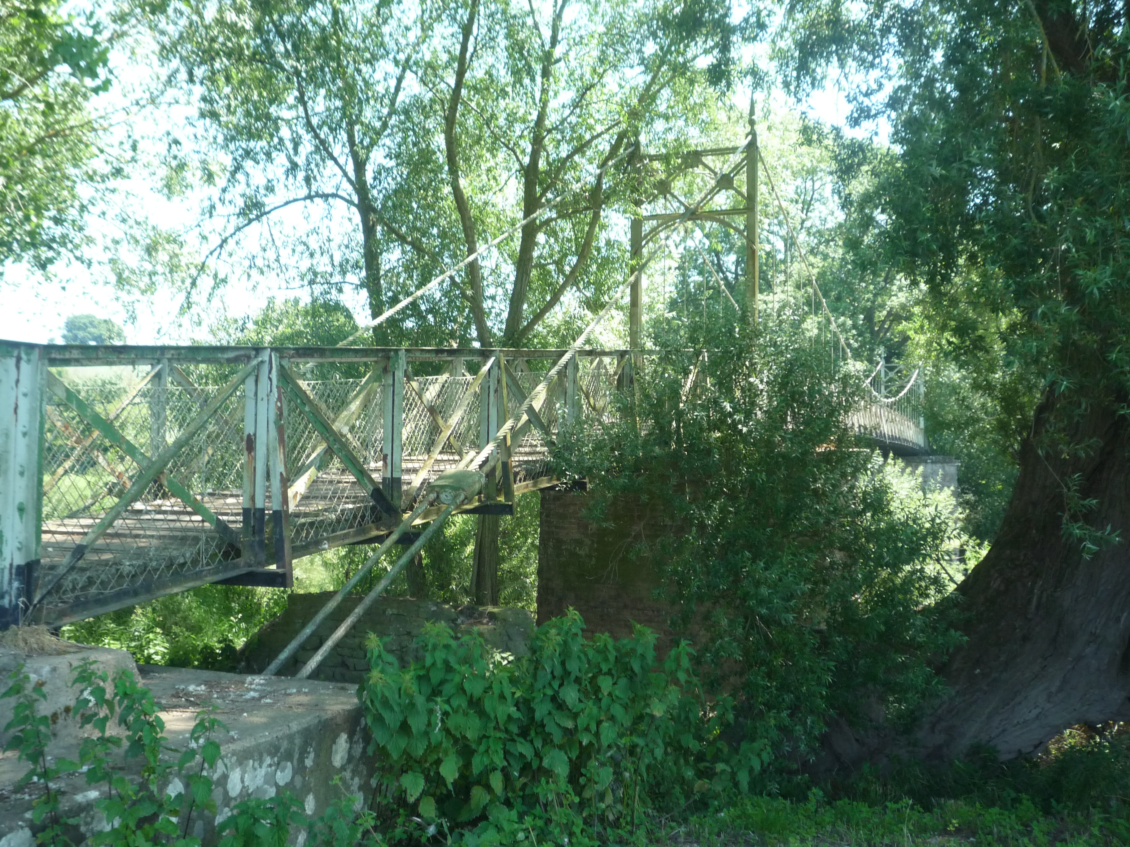 Foy