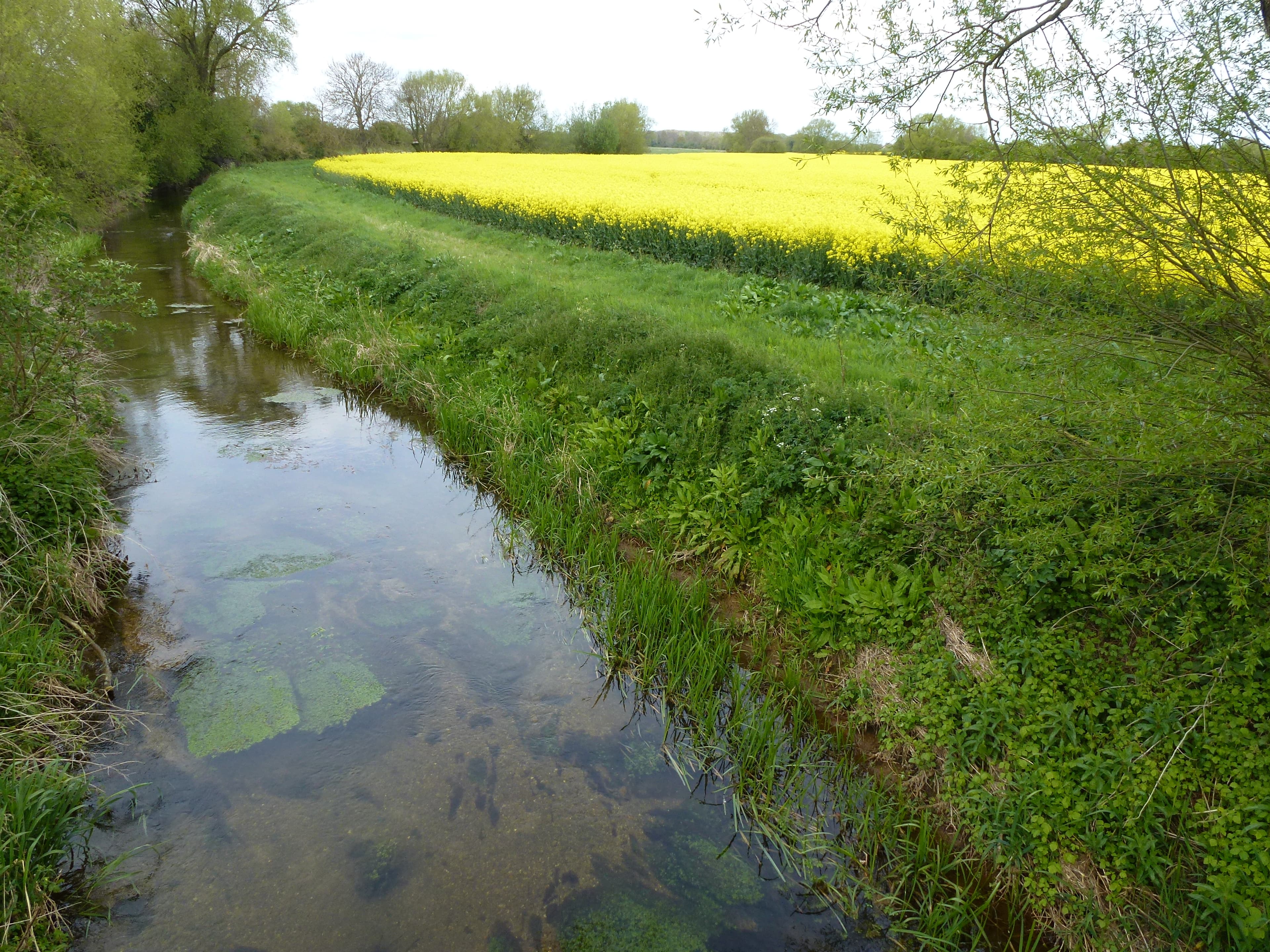 Braceborough