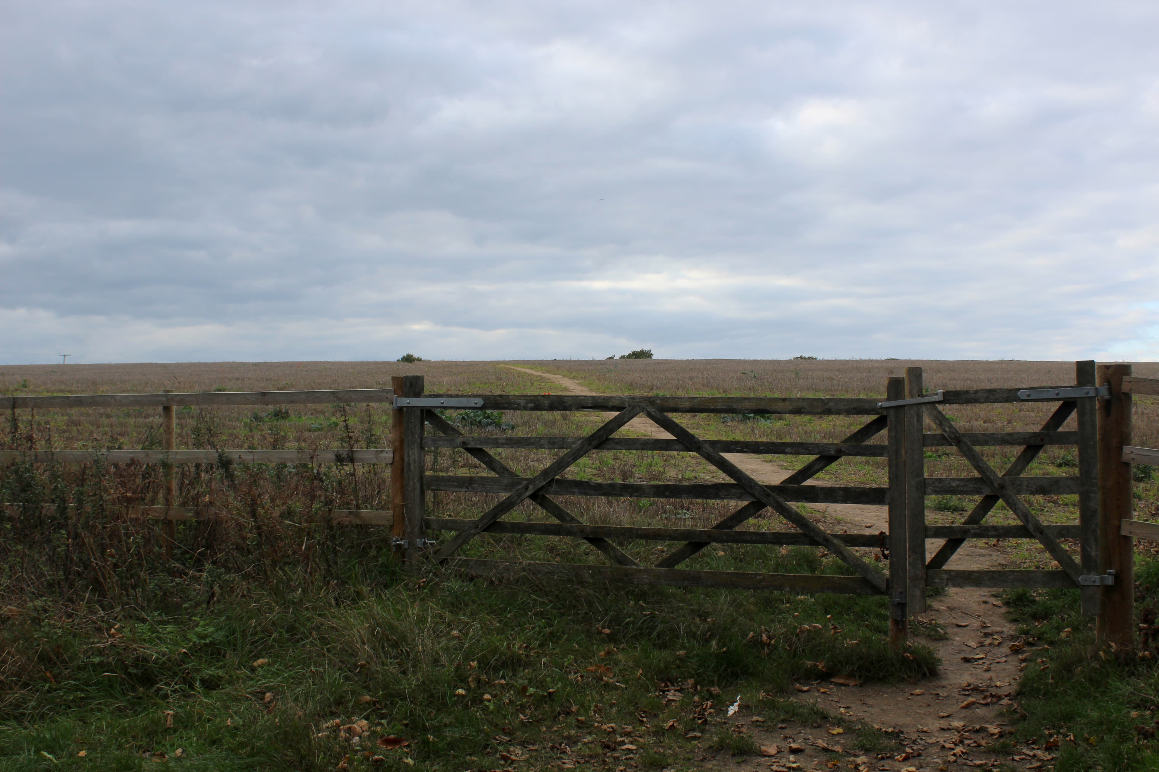 Bradfield