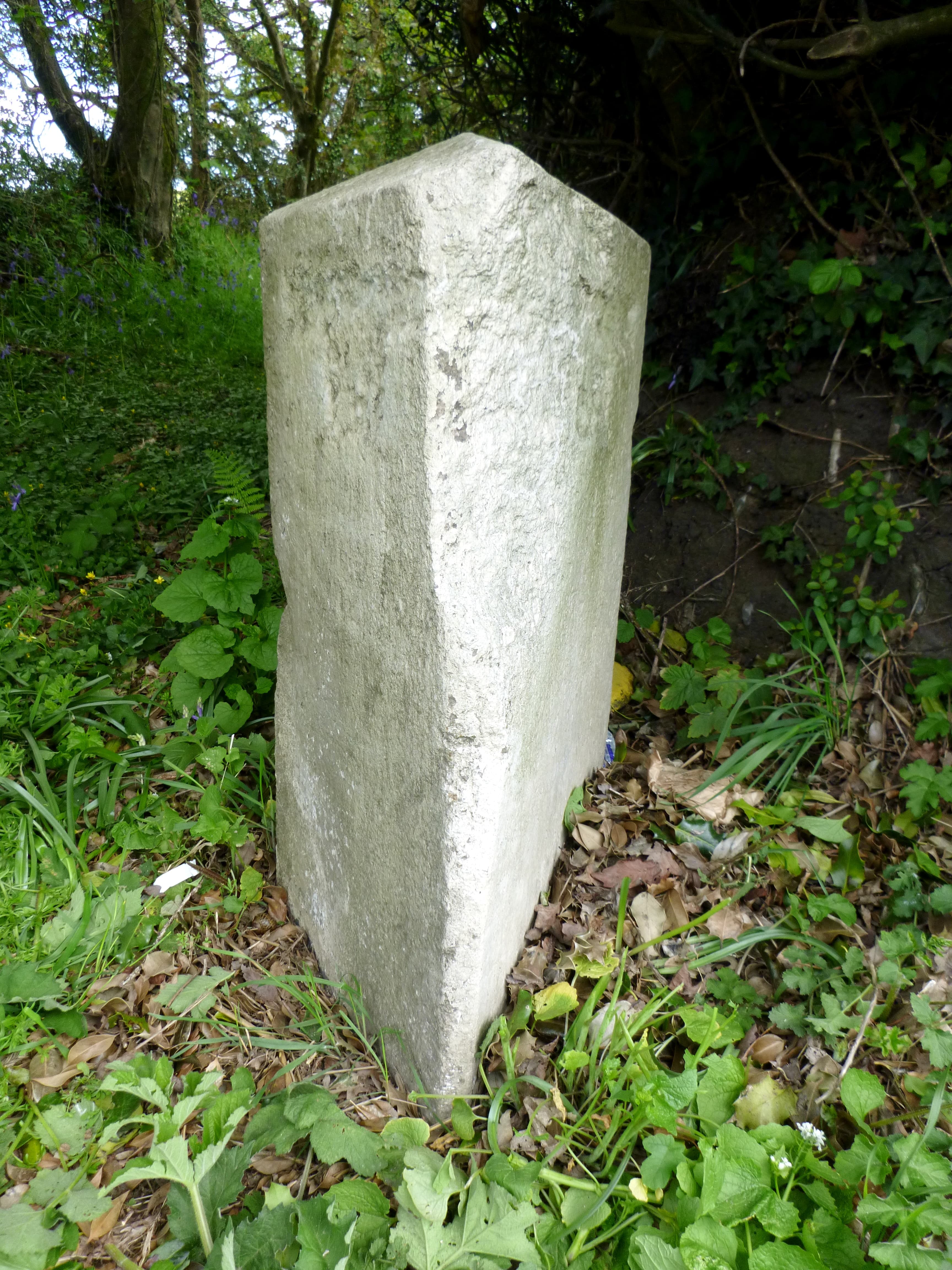 Comford