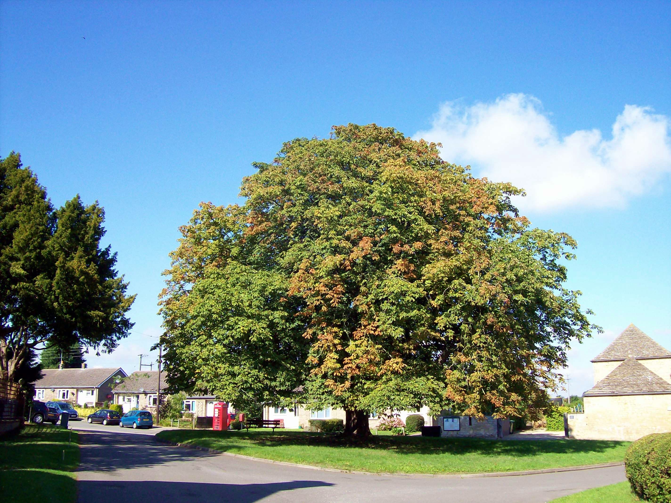 Haconby