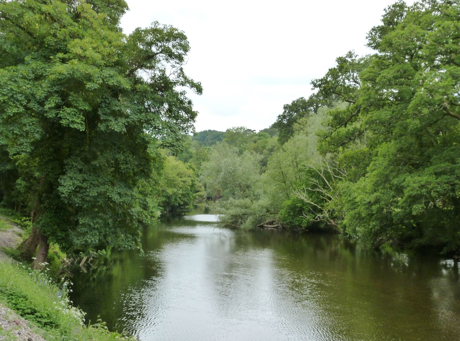 Dartington