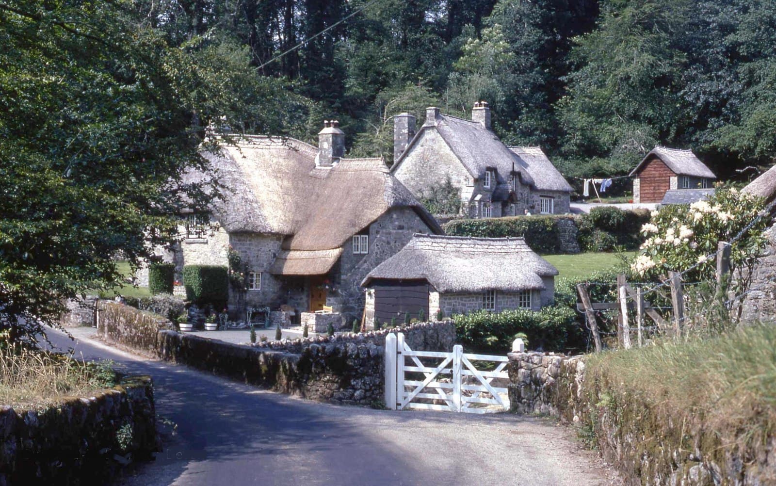 Buckland in the Moor