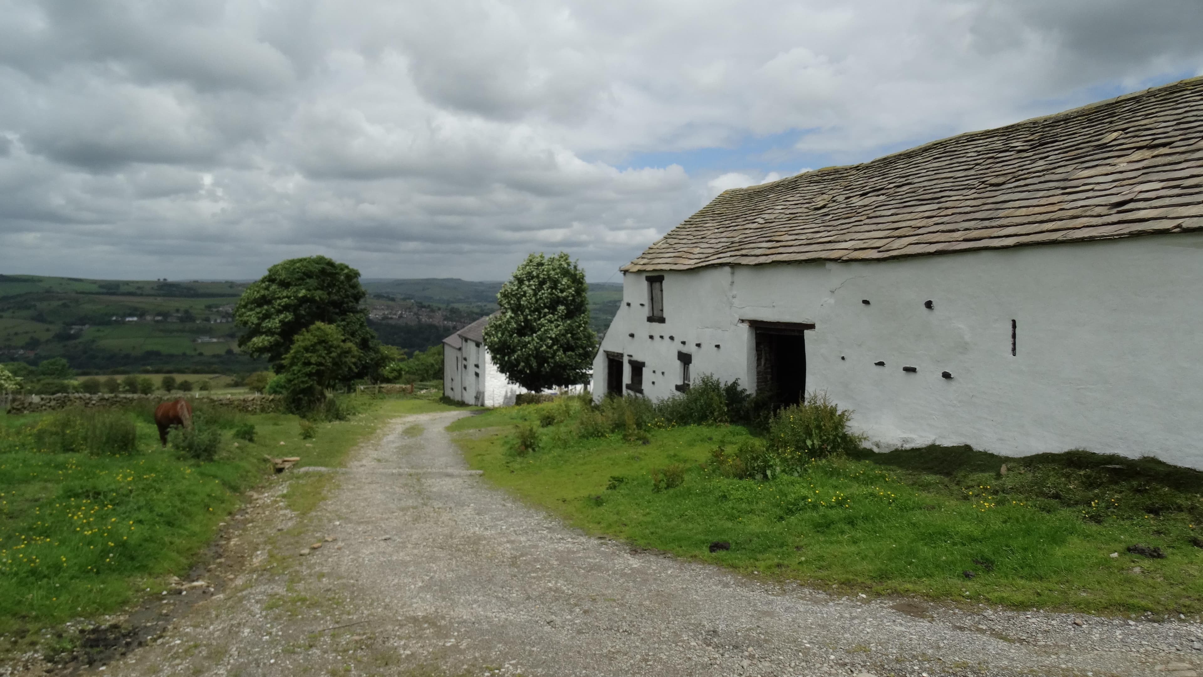 Disley
