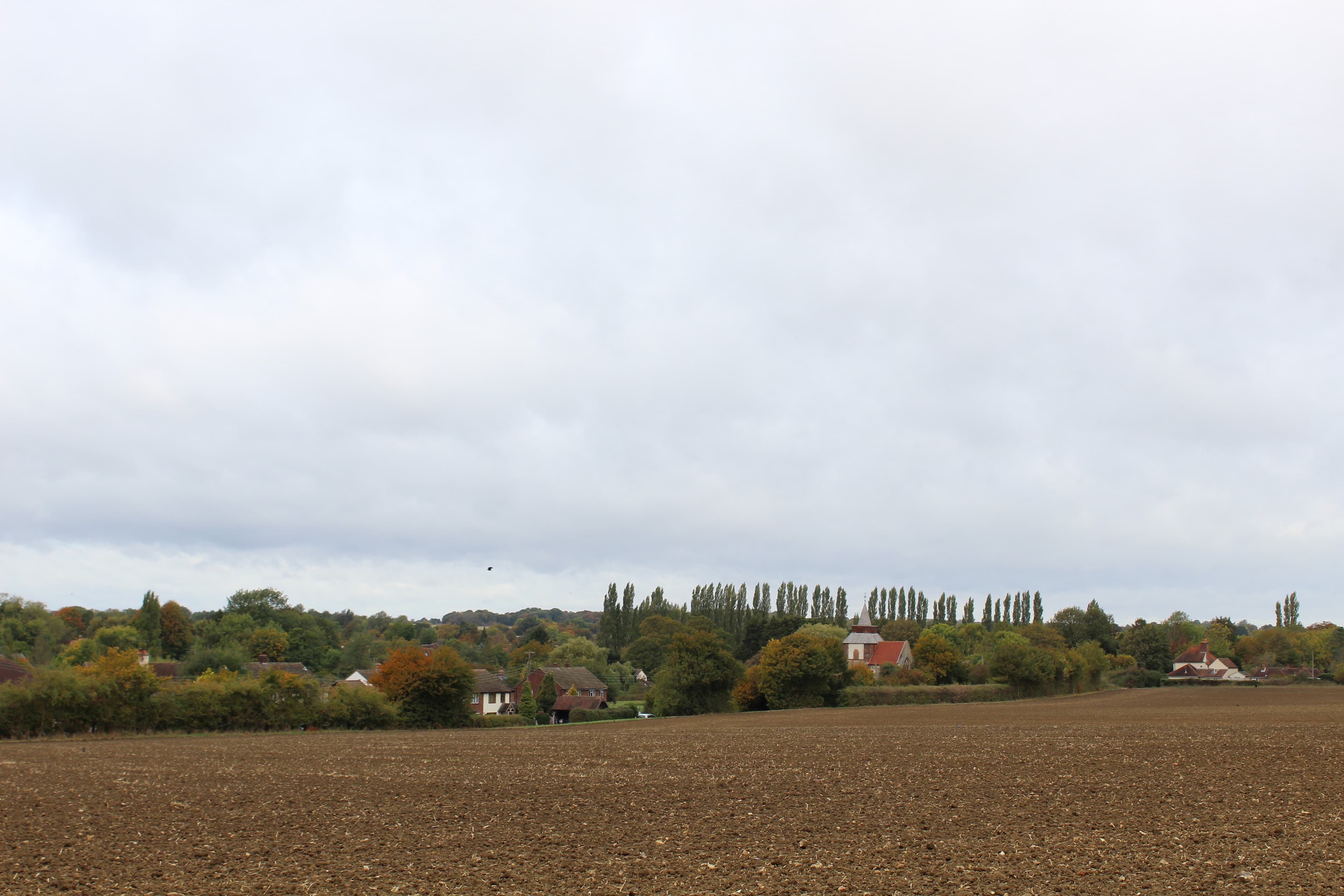 Fyfield