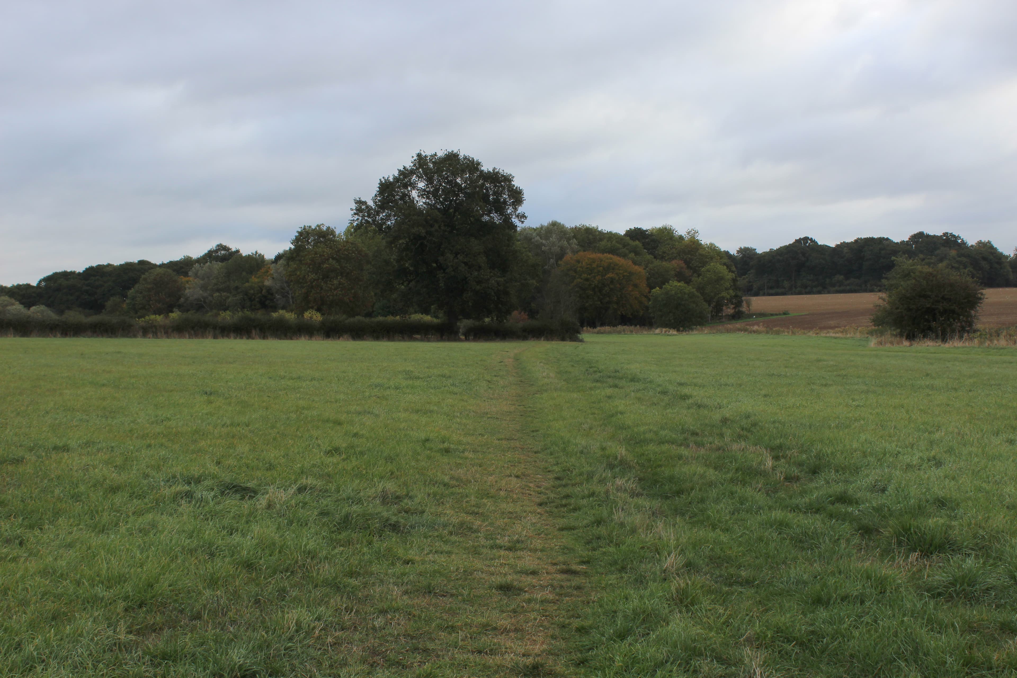 High Ongar