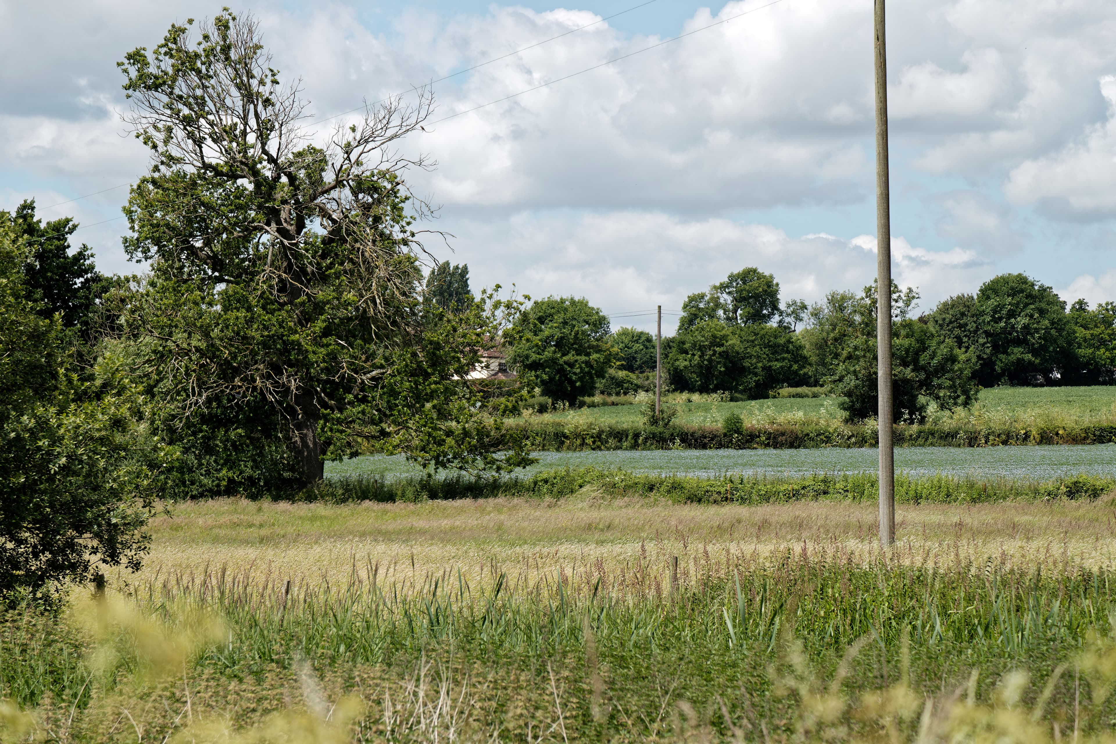 Abridge