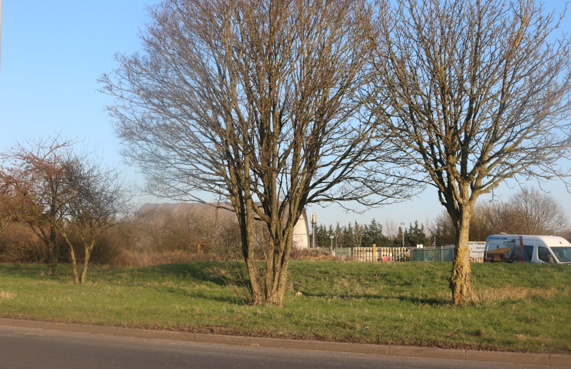 Hastingwood