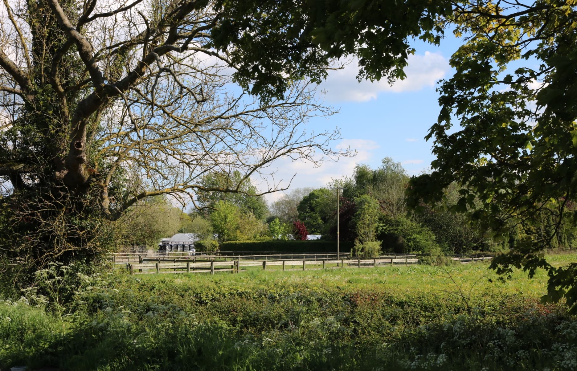 Cotheridge