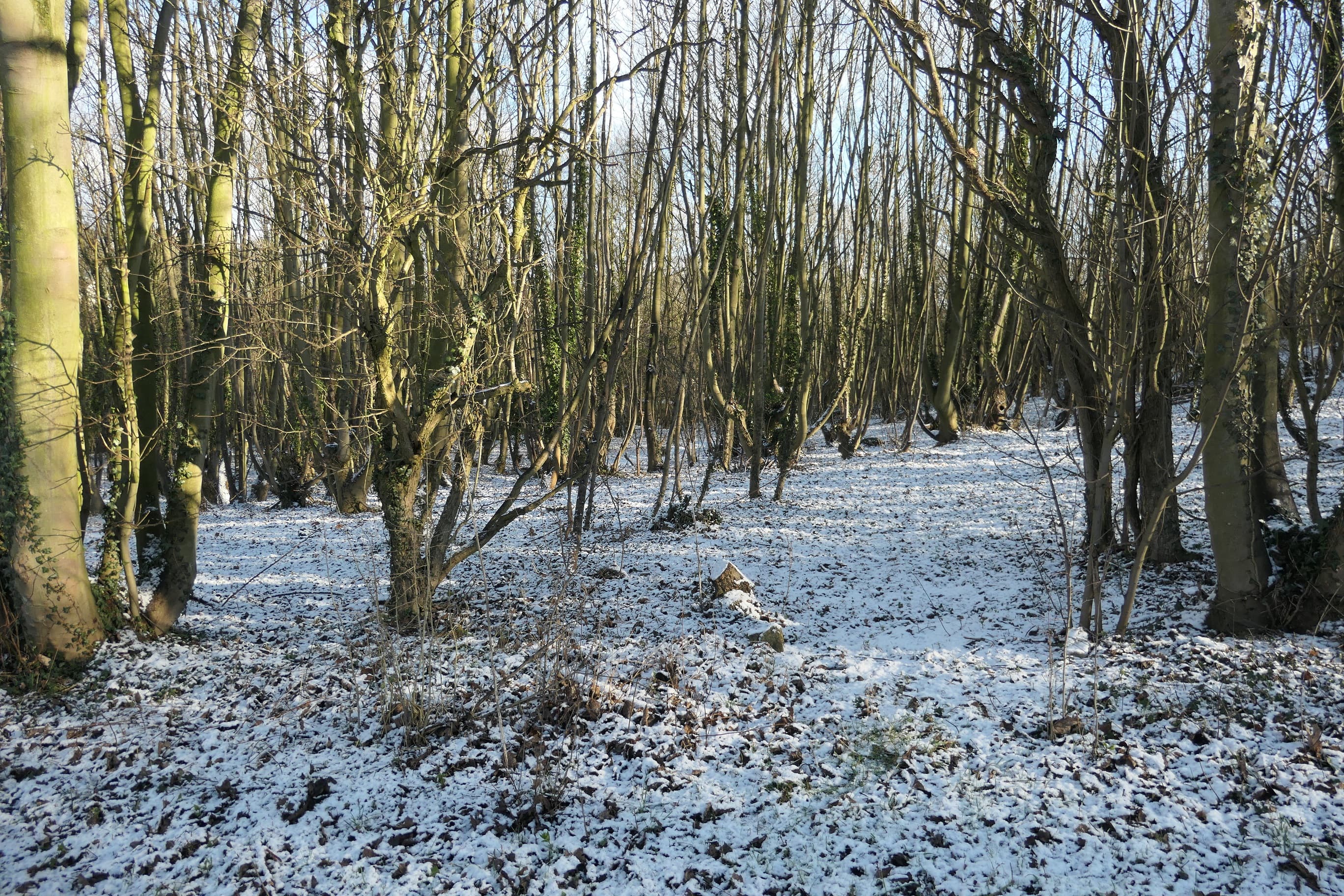 Highfields