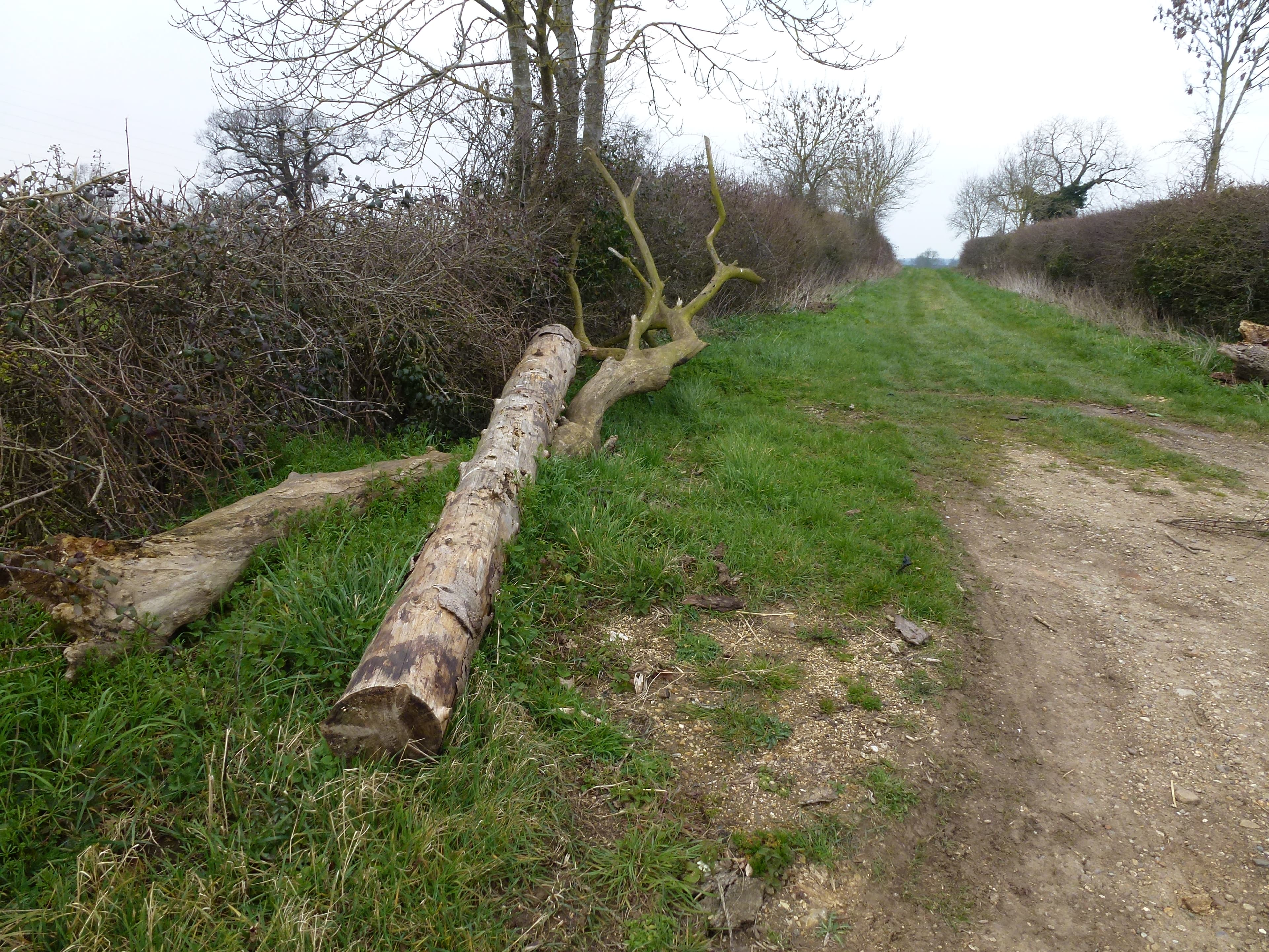 Edenham