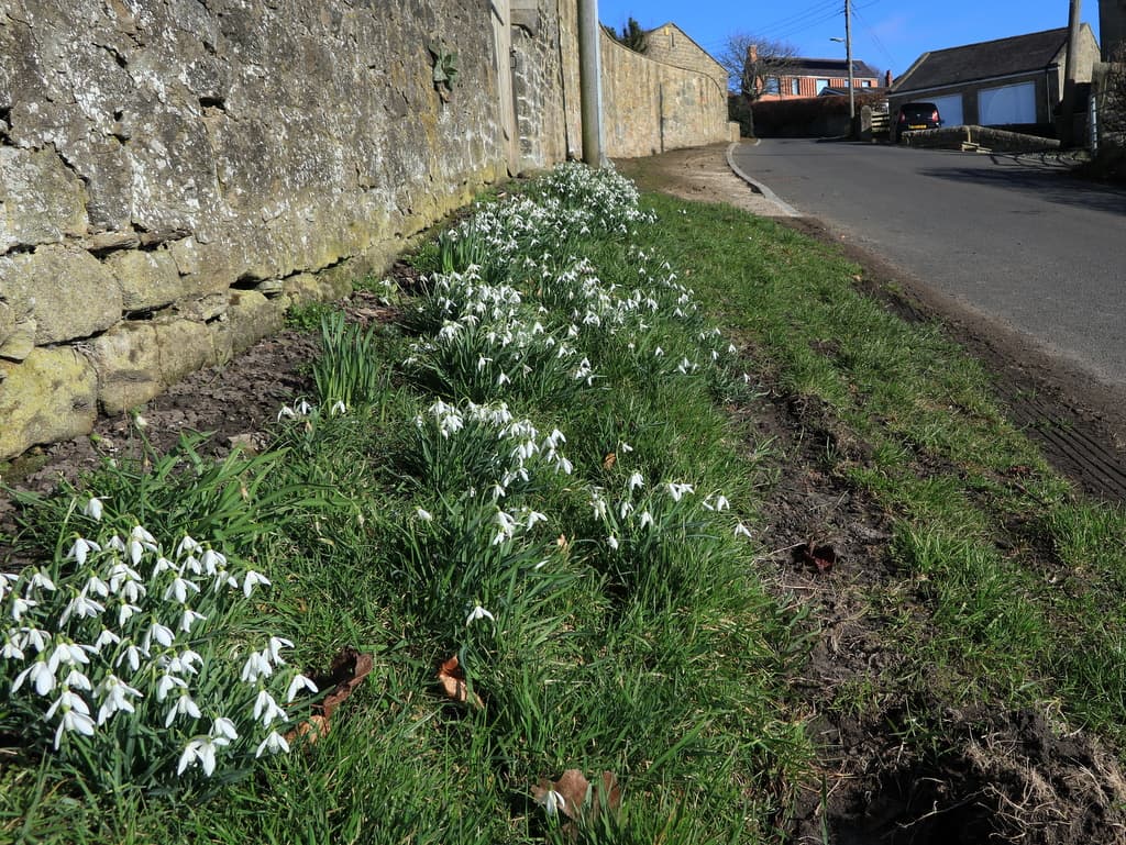 Heddon on the Wall